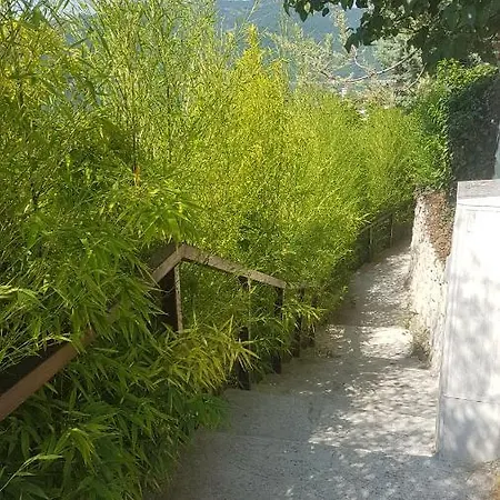 Guest Ecopolis